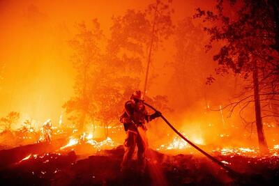 آتش به جان جنگل‌های لس‌آنجلس افتاد؛ ۱۲۰۰ نفر خانه‌های خود را تخلیه کردند (فیلم)