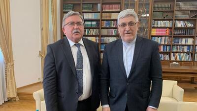 دیدار اولیانوف و نذیری‌اصل؛ گفتگوی ایران و روسیه درباره آژانس