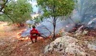 مهار سه فقره آتش سوزی در جنگل ها و مراتع شهرستان چرام