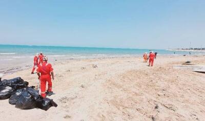 پاک سازی ساحل بندر بوشهر از لکه‌های نفتی