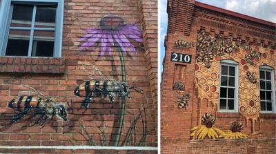 وقتی یک هنرمند عاشق زنبور عسل و کندو باشه دیوارهای شهرش رو به این زیبایی نقاشی میکشه !
