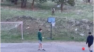 (ویدئو) لحظه شگفت‌انگیز فوتبال بازی کردن یک گوزن با دو پسر نوجوان