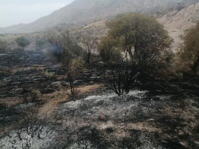 مهار آتش‌سوزی مراتع شاهیوند شهرستان چگنی