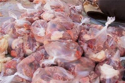 بیش از ۱هزار بسته گوشت گرم قربانی در بندرعباس توزیع شد
