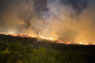 ببینید | اولین تصاویر از آتش‌سوزی در منطقه علفزار ترکیه