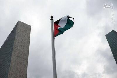 فیلم/ برافراشتن پرچم فلسطین در نیویورک