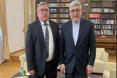 محورهای دیدار «اولیانوف» با نماینده ایران در آژانس انرژی اتمی