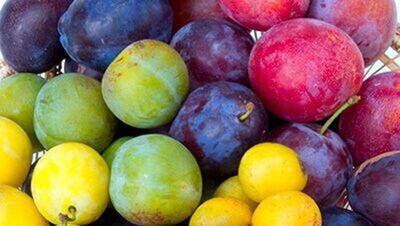 اگر می‌خواهید پوکی استخوان نگیرید این میوه‌ها را مصرف کنید