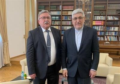 دیدار نمایندگان تهران و مسکو در سازمان‌های بین‌المللی در وین - تسنیم