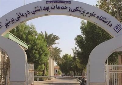 بوشهر؛ قطب تشخیص و درمان سرطان- فیلم دفاتر استانی تسنیم | Tasnim