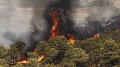 احتمال وقوع آتش سوزی در عرصه‌های منابع طبیعی اردبیل