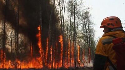 آتش‌ سوزی در بیش از ۱۵۹ هزار هکتار جنگل‌های یاکوتیای روسیه
