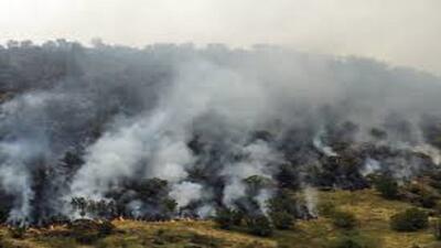 مهار سه فقره آتش سوزی در عرصه های منابع طبیعی چرام