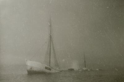 بقایای آخرین کشتی ارنست شکلتون در ساحل کانادا پیدا شد - زومیت