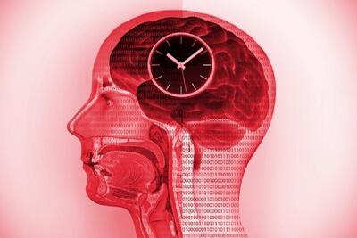 اهمیت ساعت داخلی بدن در درمان سرطان