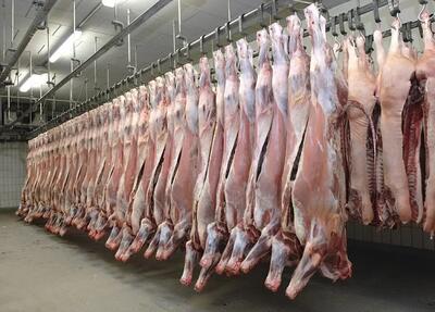 کمبود ۱۰۰ تا ۱۵۰ هزار تنی گوشت قرمز در کشور