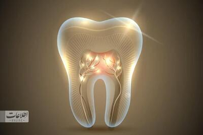 داروی رشد مجدد دندان در ژاپن کشف و آزمایش شد