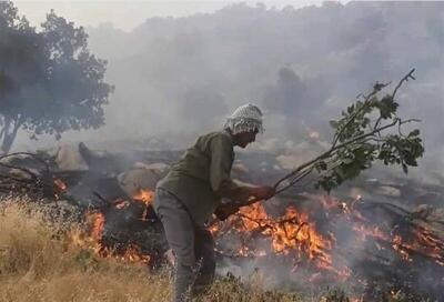 (ویدئو) آتش‌سوزی جنگل‌های چگنی، کنایه یک داوطلب مردمی به مسئولان
