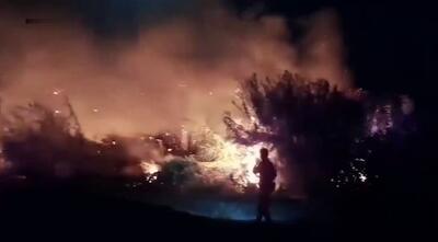 (ویدئو) آتش‌سوزی نخلستان‌های روستای پوسار در شهرستان خاش