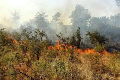 مهار آتش قبل رسیدن به جنگل در منطقه توسکستان