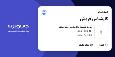استخدام کارشناس فروش - خانم در گروه کیسه بافی زرین خوزستان