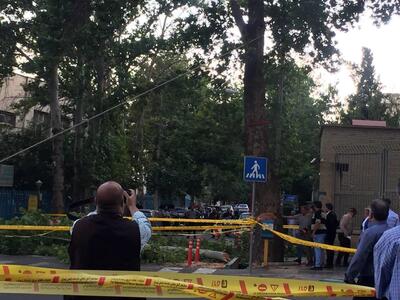 ترافیک سنگین به خاطر احتمال افتادن یک درخت در تهران!/ ویدئو