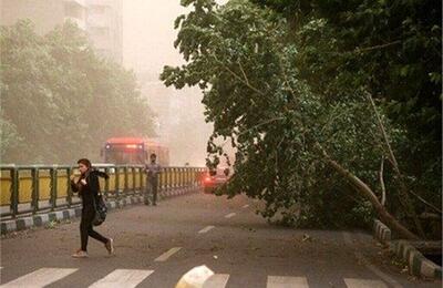 ببینید | وزش باد شدید و طوفان در تهران