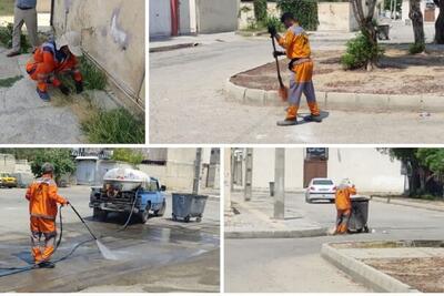 طرح پاکسازی محلات بوشهر برای مبارزه با پشه آئدس اجرا شد