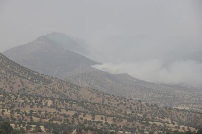 شناسایی ۴ نفر از عوامل آتش‌سوزی جنگل‌های لرستان