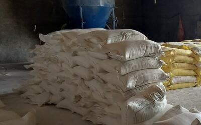 ۱۵ تن خوراک ماهی قاچاق در الیگورز به دست پلیس افتاد