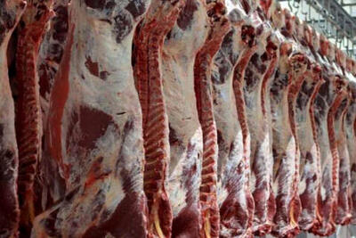 تولید سالانه ۱۹۵ هزار تن گوشت قرمز توسط جامعه عشایری کشور