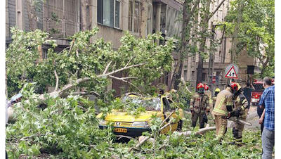 سقوط درخت روی تاکسی در طوفان تهران + فیلم ها و عکس ها