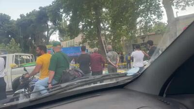 فیلم شکستن درخت در طوفان تهران / در خیابان شریعتی رخ داد