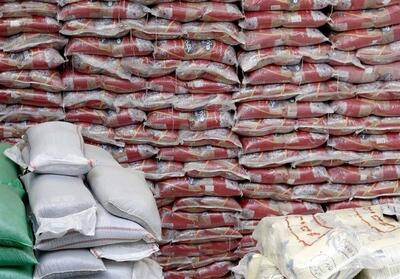 خریداری 55 هزار تن گندم از کشاورزان بوشهری - تسنیم
