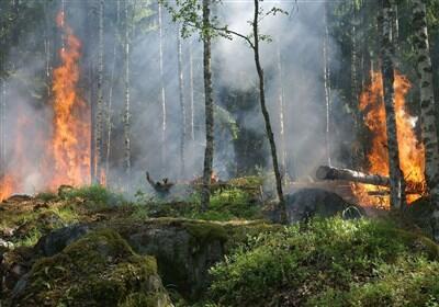 آتش در حیات‌وحش لرستان/ خسارت به 18هکتار از مناطق حفاظت‌شده - تسنیم