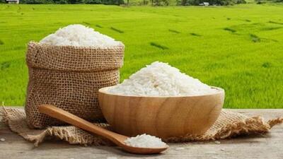 مازندران در صدر تولید برنج کشور