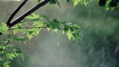 پیش‌بینی بارش‌های رگباری و سیل در آذربایجان شرقی