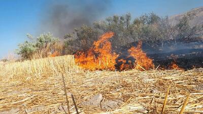 مهار آتش زمین کشاورزی روستای خیرات گرگان و جلوگیری از سرایت آتش به جنگل توسکستان