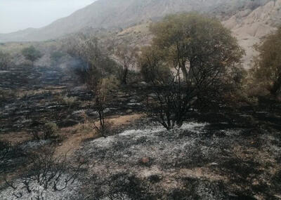 مهار آتش‌سوزی مراتع شاهیوند