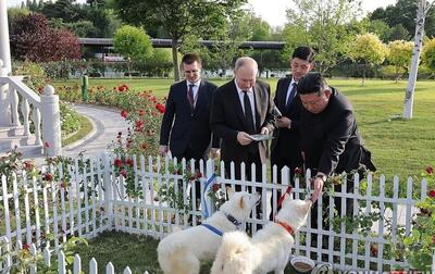رهبر کره‌شمالی «یک جفت سگ» به پوتین هدیه داد +ویدیو