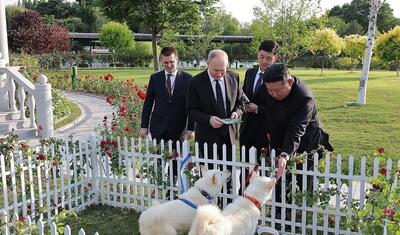 عکس/ هدیه رهبر کره شمالی به پوتین: یک جفت سگ! | اقتصاد24