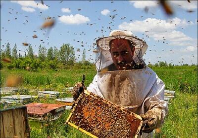 تولید بیش از ۴ هزار تن عسل در لرستان