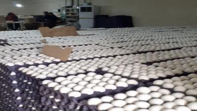 صادرات تخم مرغ قوچان به افغانستان