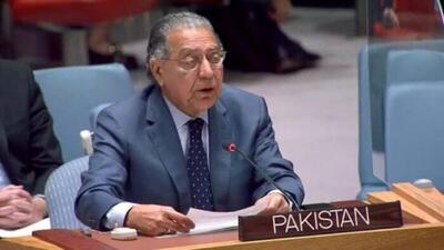 نگرانی پاکستان از دستیابی تی‌تی‌پی به سلاح‌های آمریکایی