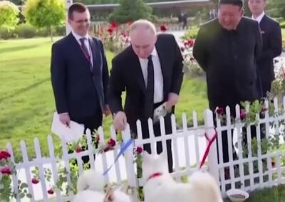ببینید / رهبر کره شمالی به پوتین سگ هدیه داد