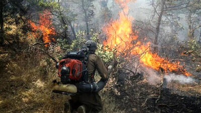 حریق جنگلی در جنوب‌شرق ترکیه؛ ۵ کشته و ۴۴ زخمی تاکنون