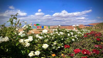 کاشت بیش از ۲۵۰۰ بوته گل رز در تفرجگاه عینالی تبریز