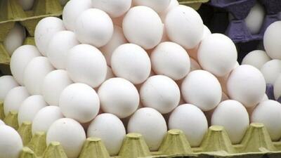 خرید حمایتی تخم‌مرغ به ۴ هزار تن رسید