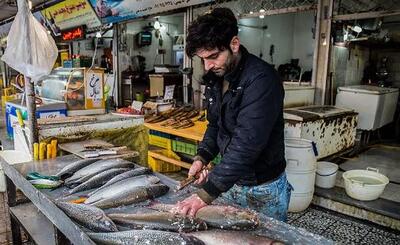 قیمت انواع ماهی در بازار ۲ تیر ۱۴۰۳ /جدول - عصر اقتصاد