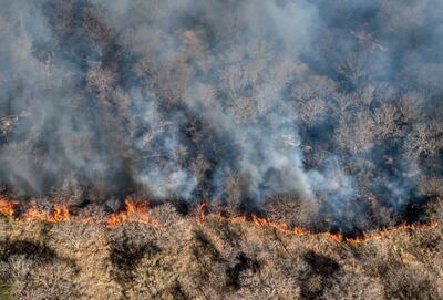 نمای هوایی از وضعیت جنگل‌های پلدختر بعد از آتش‌سوزی (فیلم)